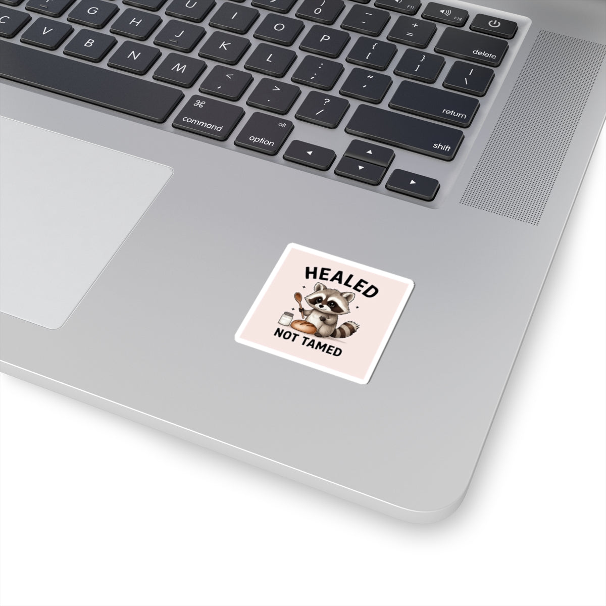 Healed Not Tamed Raccoon Stickers, Cute Animal Stickers, Laptop Decals, Planner Stickers, Gift for Animal Lovers