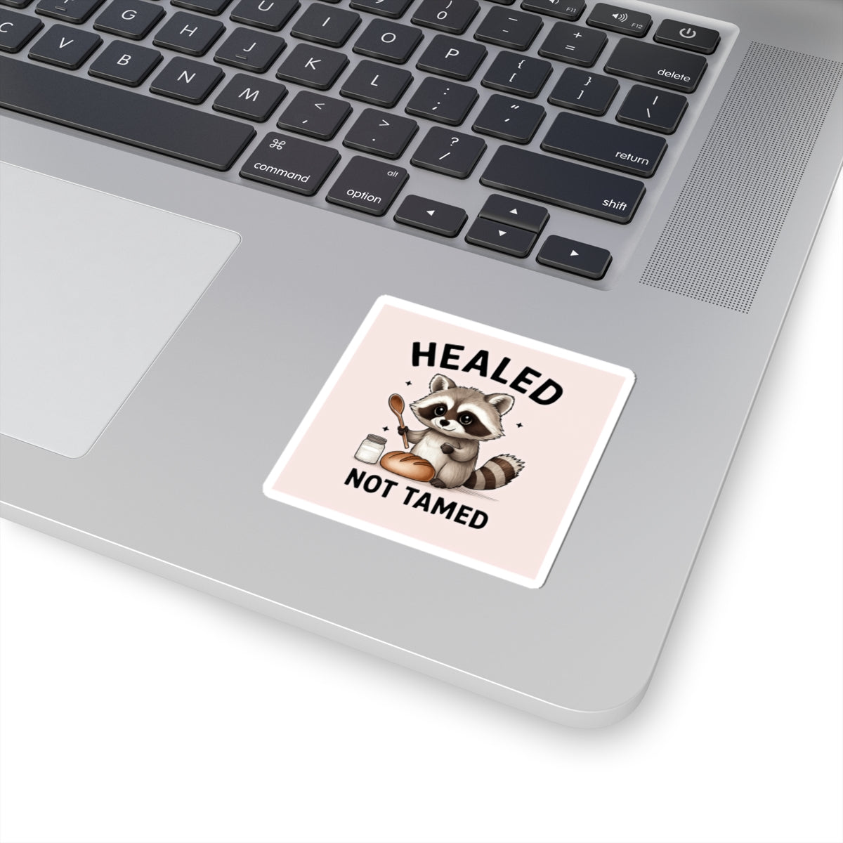 Healed Not Tamed Raccoon Stickers, Cute Animal Stickers, Laptop Decals, Planner Stickers, Gift for Animal Lovers
