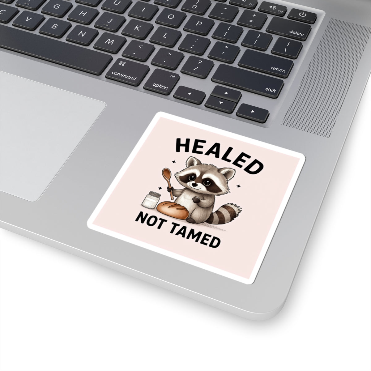 Healed Not Tamed Raccoon Stickers, Cute Animal Stickers, Laptop Decals, Planner Stickers, Gift for Animal Lovers