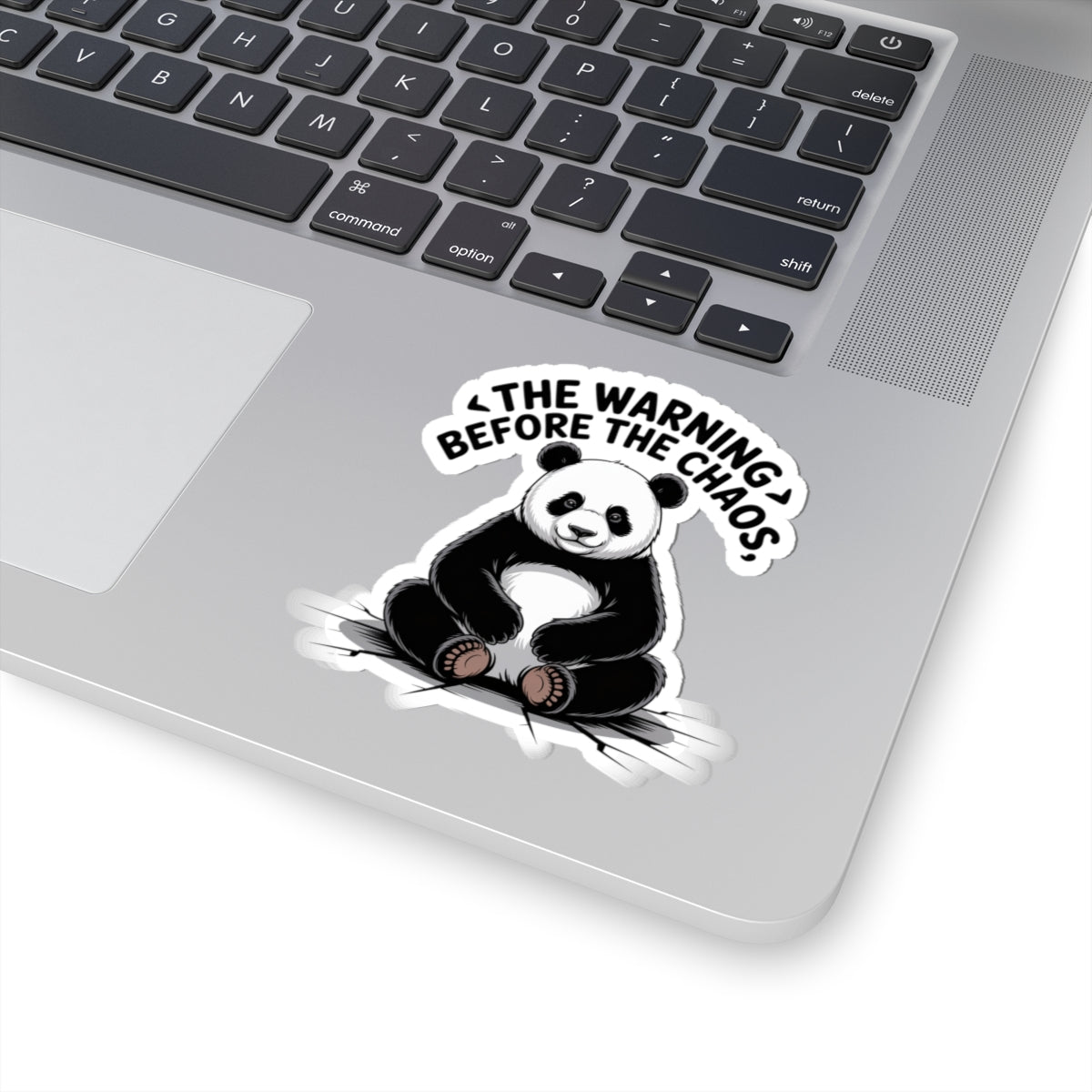 Panda Warning Kiss-Cut Stickers | Fun Stickers for Laptops, Journals, Gifts, Decor, Cool Designs