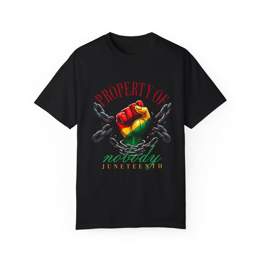 Juneteenth Property of Nobody